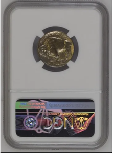 1913 Type 1 Buffalo Nickel First Year of Issue NGC AU Details